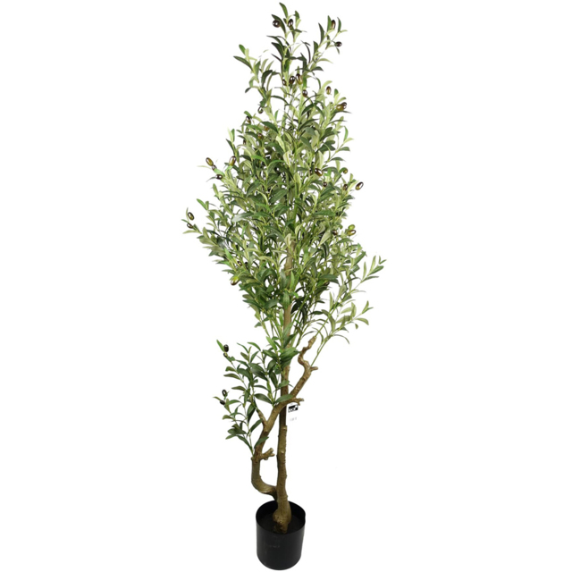 Leaf Olive Artificial Plant in Pot 5.2ft - image 1