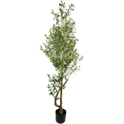 Leaf Olive Artificial Plant in Pot 5.2ft - thumbnail 1
