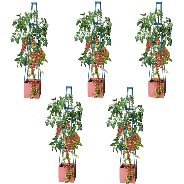 Garden Gear 4 Tier Self Watering Tomato Tower 5 Pack - image 1