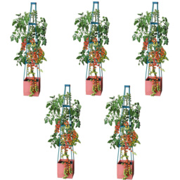 Garden Gear 4 Tier Self Watering Tomato Tower 5 Pack - thumbnail 1