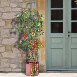 Garden Gear 4 Tier Self Watering Tomato Tower 5 Pack - thumbnail 2