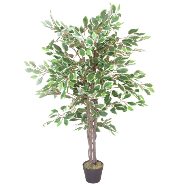 Leaf Artificial White Edge Ficus Tree in Pot 130cm - image 1