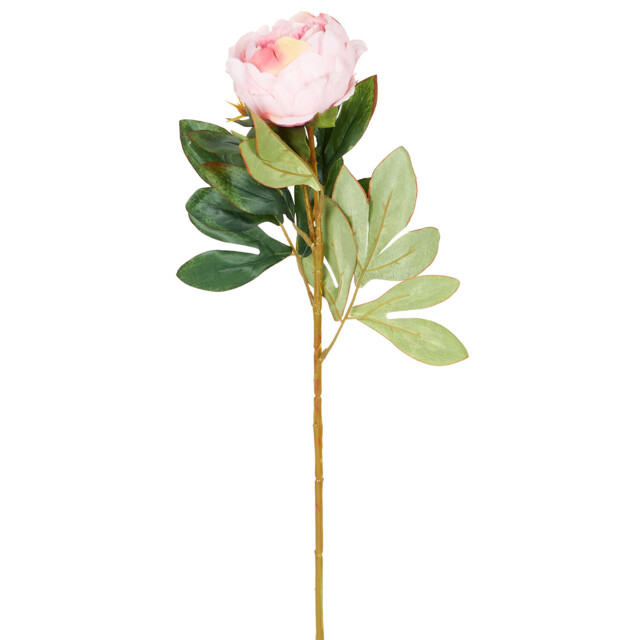 Single Faux Millicent Peony Single Stem Artificial Flower 62cm in Assorted styles - image 1