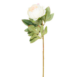 Single Faux Millicent Peony Single Stem Artificial Flower 62cm in Assorted styles - thumbnail 2