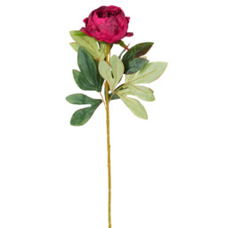 Single Faux Millicent Peony Single Stem Artificial Flower 62cm in Assorted styles - thumbnail 3