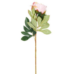 Single Faux Millicent Peony Single Stem Artificial Flower 62cm in Assorted styles - thumbnail 4
