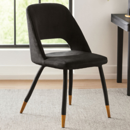 Premier Housewares Warren Black Velvet Cut-Out Dining Chair with Gold Legs
