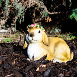 St Helens Female Light Up Rabbit Ornament - thumbnail 3
