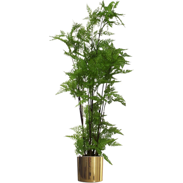 Leaf Extra Large Moss Base Fern Foliage Artificial Plant with Gold Metal Planter 150cm - image 1