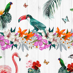 Origin Murals Birds Of Paradise Multicolour Wall Mural - thumbnail 2