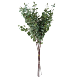 Leaf Eucalyptus Foliage Artificial Pick 100cm 6 Pack - thumbnail 1