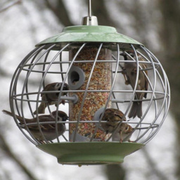 Thompson and Morgan The Nuttery Celadon Green Squirrel Proof Seed Feeder - thumbnail 2