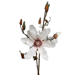 White Magnolia Single Stem Artificial Flower 72cm - thumbnail 2