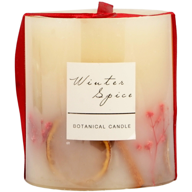 Winter Cream Spice Botanical Scented Candle - image 1