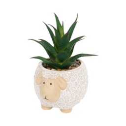 Succulent in Sheep Pot - thumbnail 3