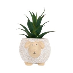 Succulent in Sheep Pot - thumbnail 1