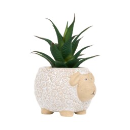 Succulent in Sheep Pot - thumbnail 2