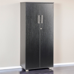 MMT Furniture Designs 2 Door Black Lockable Tall Filing Cabinet