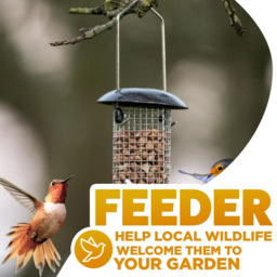 Marco Paul Premium Hammertone Bird Feeder 3 Pack - thumbnail 4