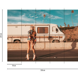 A.S Creation Skater Girl Digital Mural - thumbnail 4