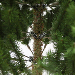 Ashford Fir Tree Green 7ft - thumbnail 4