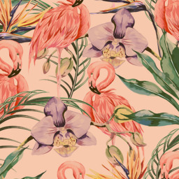 Origin Murals Paradise Flamingo Coral Wall Mural - thumbnail 2
