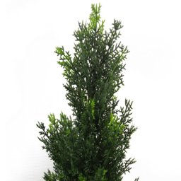 Leaf Topiary Cedar Cypress Artificial Tree in Pot 90cm 2 Pack - thumbnail 2