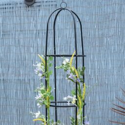 St Helens 2m Standing Garden Obelisk - thumbnail 4