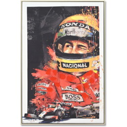 Iconic Racing Driver Framed Art - Multicolour