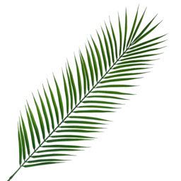 Leaf Single Stem Realistic Artificial Palm Leaf 100cm 6 Pack - thumbnail 3