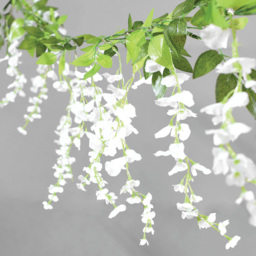 Wisteria Design LED String Light 170cm