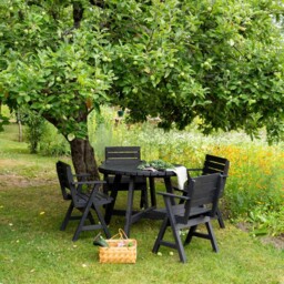 AMATA Usma Black Wooden Chair - thumbnail 4