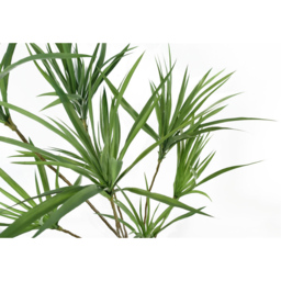 Leaf Dragon Dracaena Artificial Tree 125cm - thumbnail 3