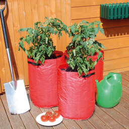 St Helens Tomato Grow Bags 3 Pack - thumbnail 2