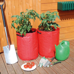 St Helens Tomato Grow Bags 3 Pack - thumbnail 3