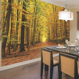 Origin Murals Autumn Forest Orange Wall Mural