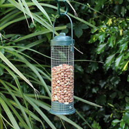 Marco Paul Green Standard Bird Nut Feeder - thumbnail 2