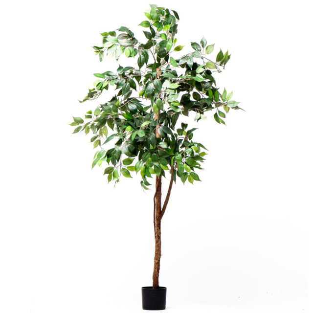 Garden Gear 3 Trunk Artificial Ficus Tree in Black Pot 150cm - image 1