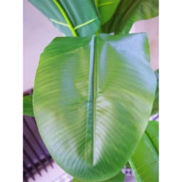 Leaf Tropical Banana Artificial Tree Pot with Silver Metal Planter 182cm - thumbnail 2