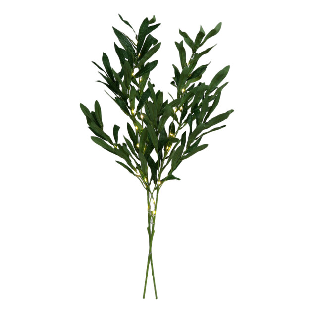 Green Eucalyptus Warm White LED Twig Light - image 1