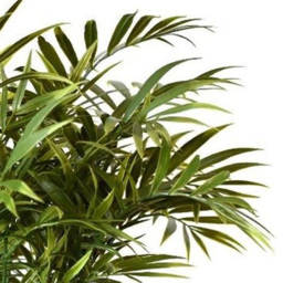 Leaf Green Palm Tree Fire Retardant Artificial Plant Stem 40cm 6 Pack - thumbnail 3