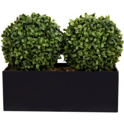 GreenBrokers Artificial Boxwood Double Bay Ball in Black Straight Window Box 35cm - thumbnail 2