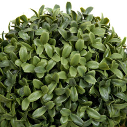 GreenBrokers Artificial Boxwood Double Bay Ball in Black Straight Window Box 35cm - thumbnail 3