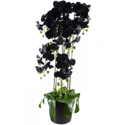 Leaf Large Black Orchid Artificial Plant in Pot 3.6ft - thumbnail 1