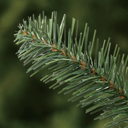 Evergreen Classics 6ft Colonial Spruce Artificial Christmas Tree - thumbnail 4