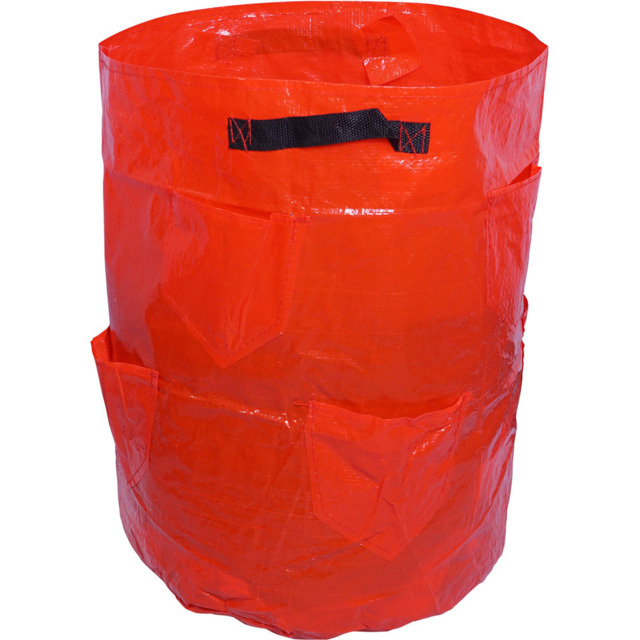 St Helens Strawberry Grow Bag 43L - image 1