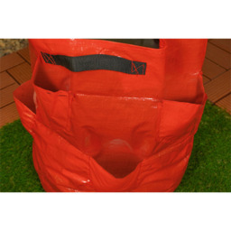 St Helens Strawberry Grow Bag 43L - thumbnail 4