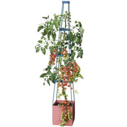 Garden Gear 4 Tier Self Watering Tomato Tower - thumbnail 1