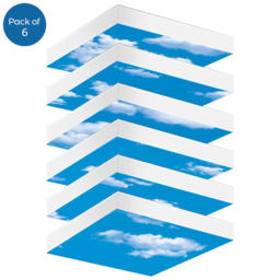 ENER-J 6 Pack 40W Foldable Screwless Mounting Sky LED Ceiling Panel Light - thumbnail 1