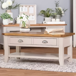 Julian Bowen Richmond 2 Drawer Grey and Pale Oak Coffee Table